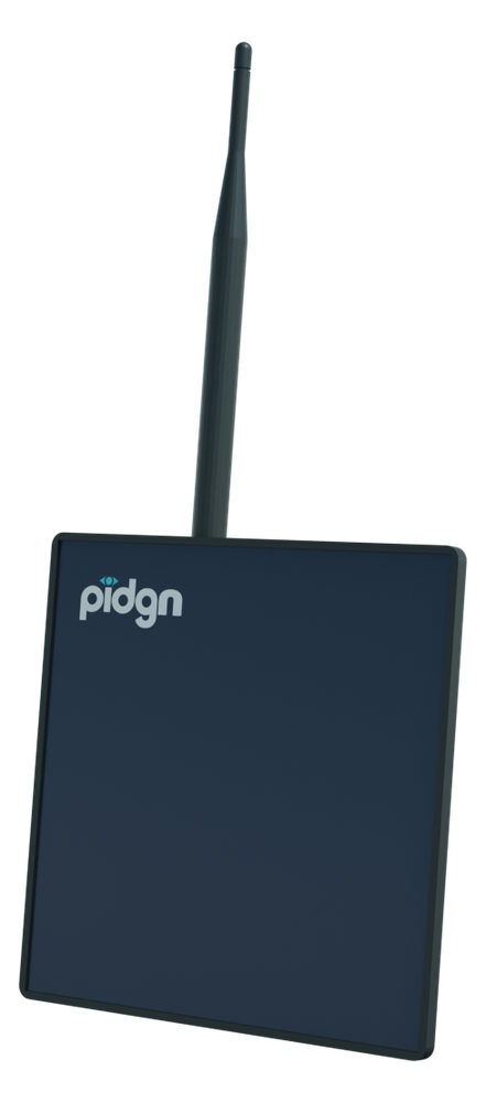 pidgn render